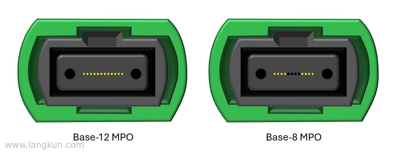 一个是 Base-12 MPO 连接器，有 12 根光纤;一个是 Base-8 MPO 连接器，有 8 根光纤。